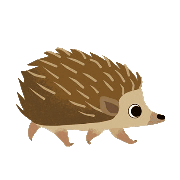 Hedgehog